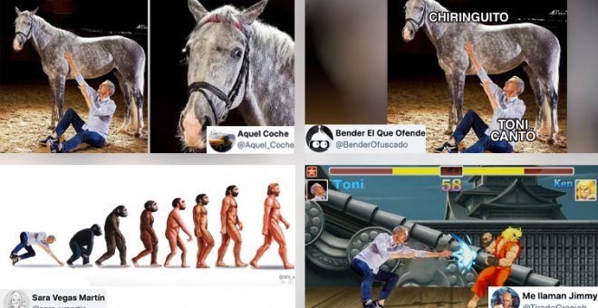 Explosión de memes con la foto de Toni Cantó en una entrevista y el gesto de incredulidad de un caballo