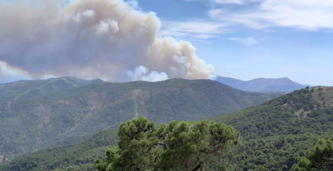 Tres bomberos heridos, uno grave, y cerca de 3.000 vecinos desalojados en el incendio forestal de Sierra Bermeja