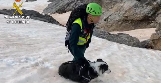 La Guardia Civil rescata a un perro atrapado en un nevero en Picos de Europa