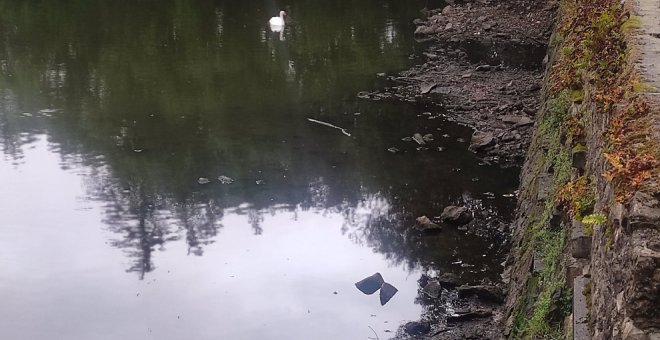 Denuncian el "penoso estado" en el que habita la fauna del estanque de La Cantábrica