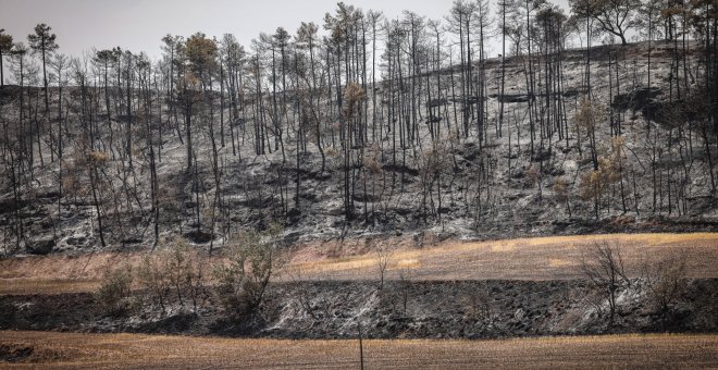 Els tres grans incendis forestals de Catalunya segueixen actius i ja han cremat més de 1.600 hectàrees