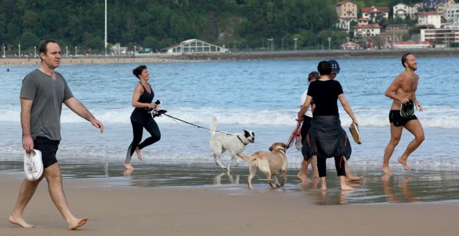 Todas las playas para perros de España