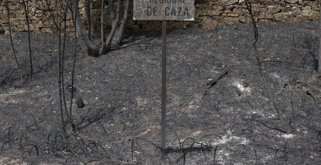 El incendio de la Sierra de la Culebra prende el descontento social con el Gobierno de Mañueco