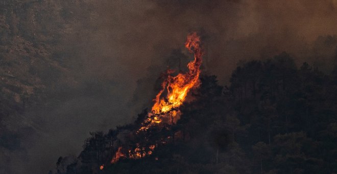 El Gobierno aprueba el Plan de Lucha contra los incendios forestales