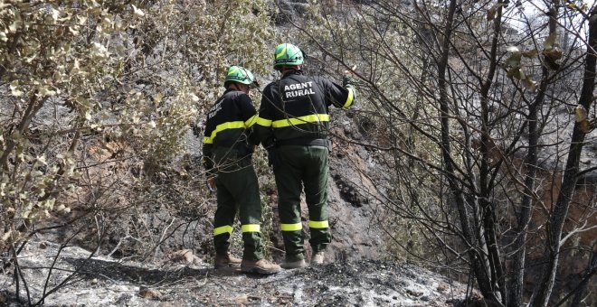 Alerta per risc alt d'incendis forestals a 25 comarques de Catalunya en ple març