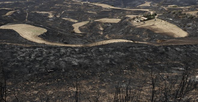 Reactivar el mundo rural, clave para prevenir los grandes incendios forestales