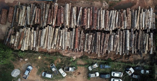 Europa quiere cerrar la puerta a productos que contribuyan a la deforestación con un reglamento lleno de sombras