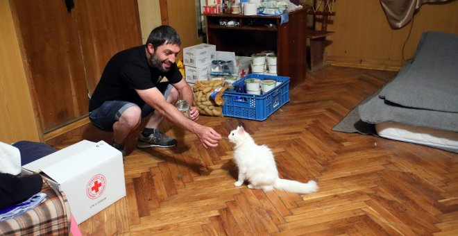 Detectan en Tailandia el primer caso de covid contagiado por un gato a un humano