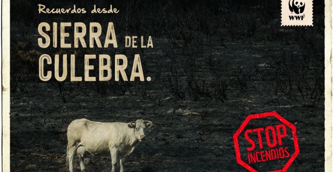 ¡STOP INCENDIOS! Paremos la ola de fuego que azota España