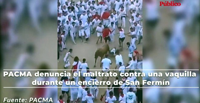 Vídeo| PACMA denuncia el maltrato contra una vaquilla durante un encierro de San Fermín