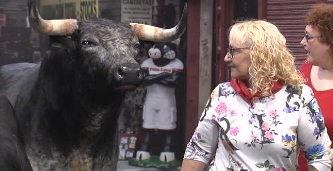 Toros disecados para hacerse los valientes