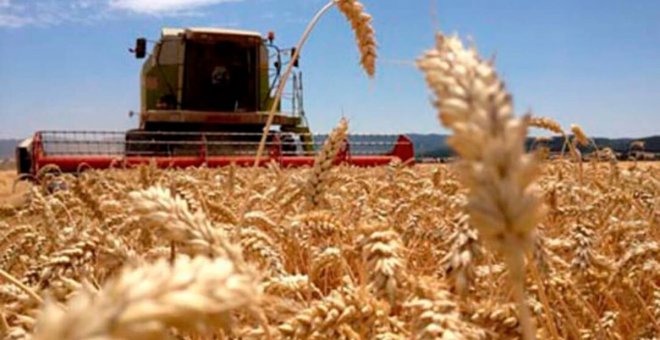 La Junta pone a disposición del Gobierno su red de silos como almacén intermedio para el grano procedente de Ucrania