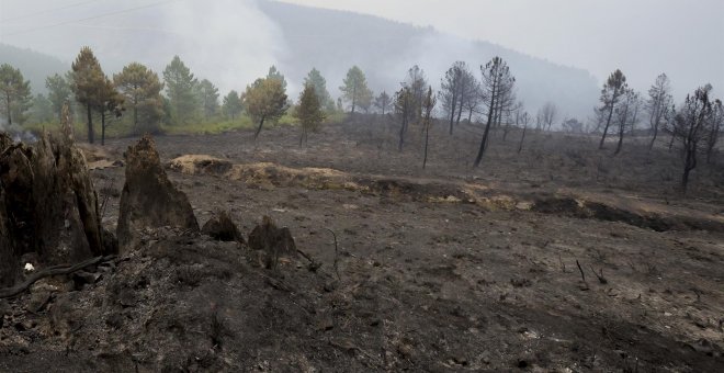 El incendio de Las Hurdes, lejos de quedar estabilizado tras haber arrasado ya unas 3.300 hectáreas