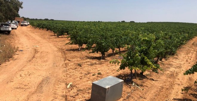 Una redada descubre más de 200 hectáreas de cultivos con riego ilegal en las provincias de Albacete y Cuenca