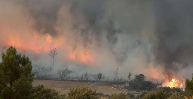 España en llamas: los incendios provocan desalojos y miles de hectáreas calcinadas