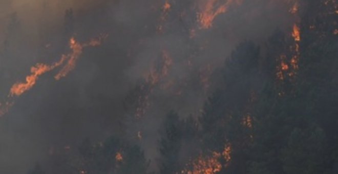 La altas temperaturas favorecen la propagación de decenas de incendios en España