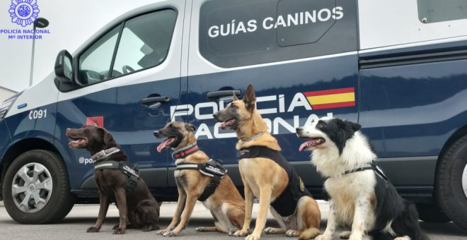 Adiós a cuatro perros policías por jubilación