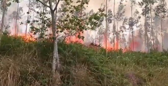 Los bomberos consiguen controlar un incendio forestal provocado en Cabezón de la Sal