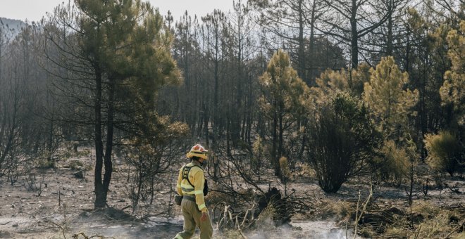 Muere un brigadista en un incendio forestal en Zamora
