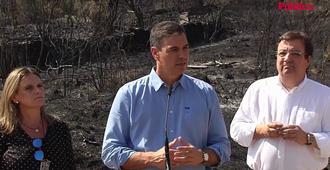 Pedro Sánchez: ¨Quisiera trasladar una evidencia y es que el cambio climático mata"