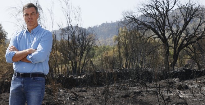 Pedro Sánchez: "El cambio climático mata"