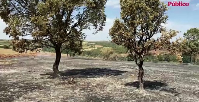 Los incendios activos en España se han cobrado ya dos vidas