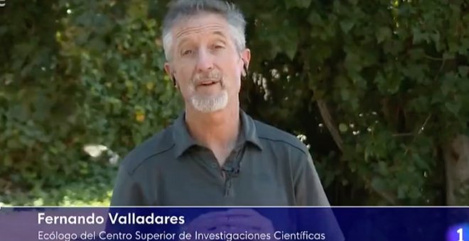 La dura advertencia de un científico del CSIC: "Este verano posiblemente sea de los más frescos en lo que nos queda de vida"