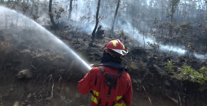 Los bomberos de Castilla y León, al límite: "Perder la vida es peor que perder el trabajo"