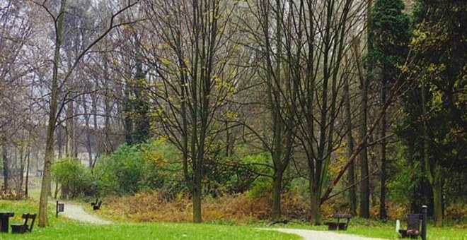 Detenido un joven de 22 años como presunto autor del incendio de junio en el parque de La Viesca