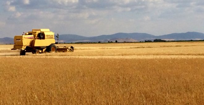 El Gobierno regional prorroga hasta el 1 de agosto la limitación en el uso de maquinaria agrícola en algunas comarcas