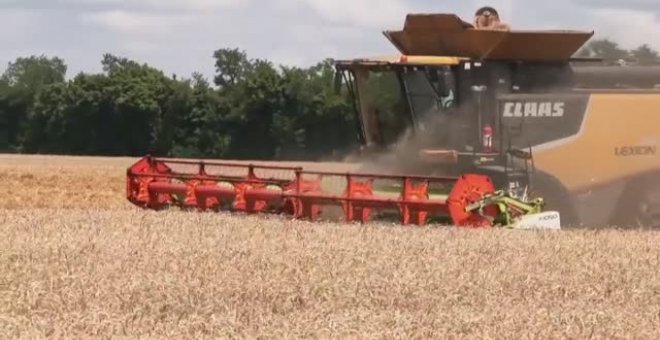 Acuerdo histórico entre Rusia y Ucrania sobre el cereal