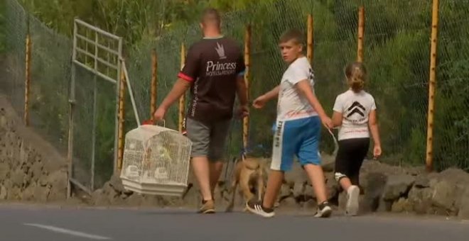 El incendio de Tenerife se adentra en el valle de La Orotava y obliga a desalojar a cientos de personas