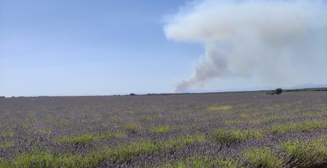 La situación de los principales incendios en Castilla y León mejora al reducir la peligrosidad en los de Zamora y Burgos