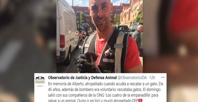 Las asociaciones animalistas lamentan la muerte del bombero atropellado en Madrid: "Se jugaba la vida por llegar donde otros ni llegaban"