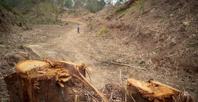 Los grupos ecologistas alertan de las "graves consecuencias" de la nueva Ley de Calidad Ambiental