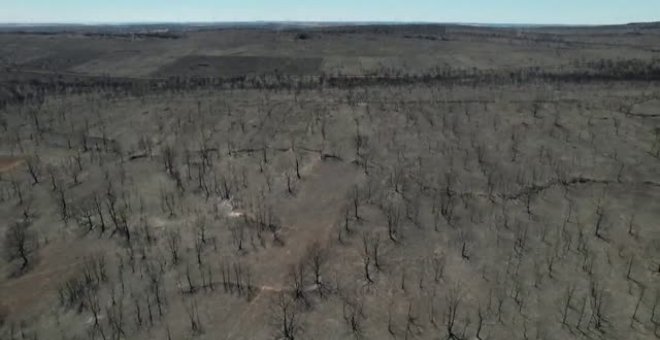 La devastación del fuego desde el aire en la localidad zamorana de Tabara