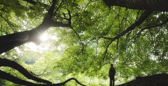 La cultura como segunda naturaleza