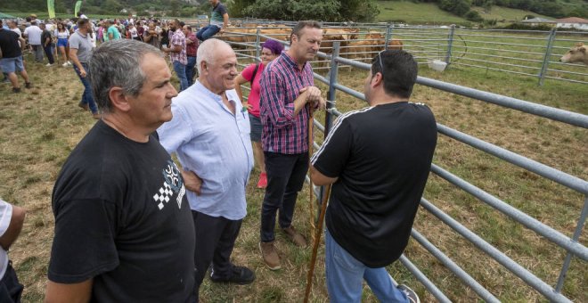 Más de un millar de reses de 39 ganaderías se dan cita en la XIII Feria Virgen de Palacios