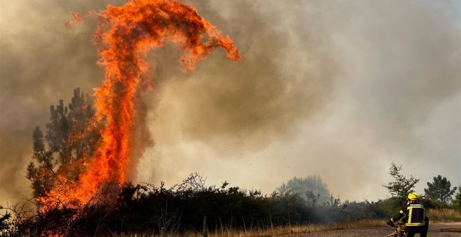 El Gobierno aprueba las medidas para combatir los incendios "todo el año"