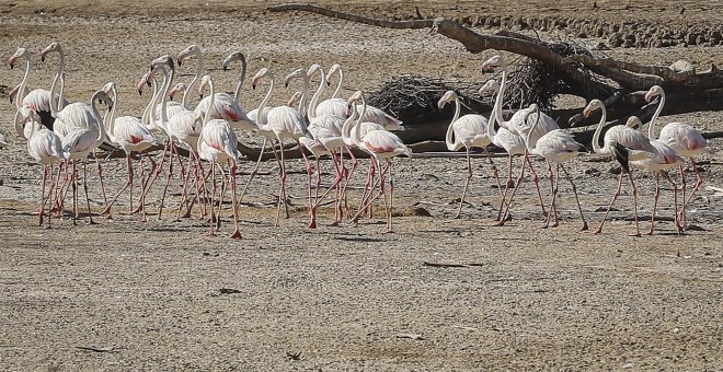 La Cañada de los Pájaros está en peligro por la sequía