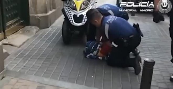 Rescatan a un buitre que paseaba desorientado por el centro de Madrid