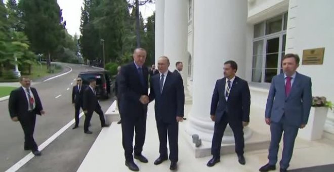 Putin se reúne con Erdogan poco después del acuerdo del trigo