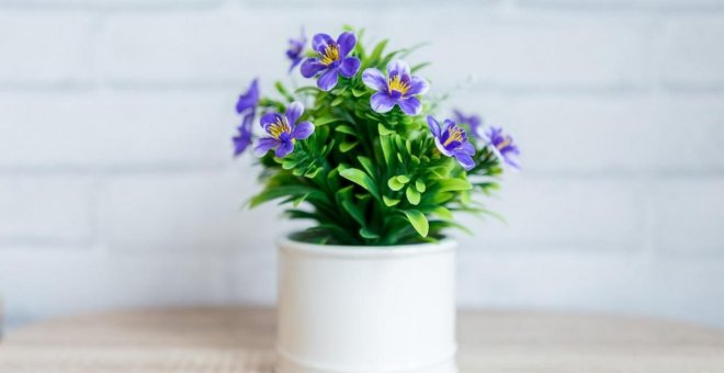Ideas para regar tus plantas cuando te vas de vacaciones