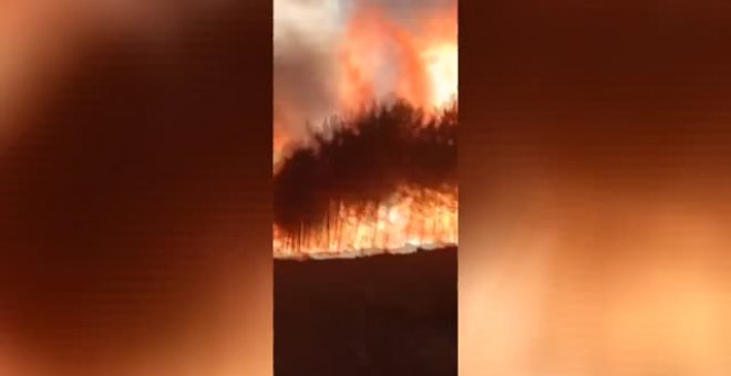 El incendio que desde hace 24 horas quema la Sierra de Gata sigue activo