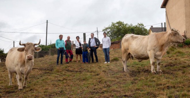 Más de 240 ganaderos y casi 10.000 reses pueden ser designados con la IGP 'Carne de Cantabria'