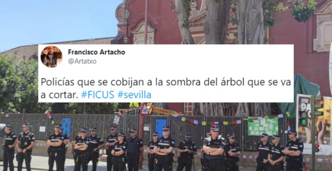 La poética imagen de unos policías resguardándose del sol bajo el árbol que están a punto de talar en Sevilla