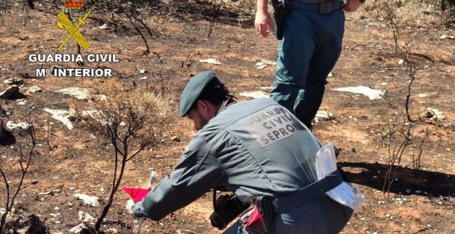 Identificado el presunto responsable del incendio forestal declarado en Yunquera de Henares en julio