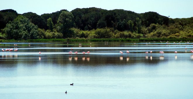 Guía geológica gratuita del Parque Nacional de Doñana