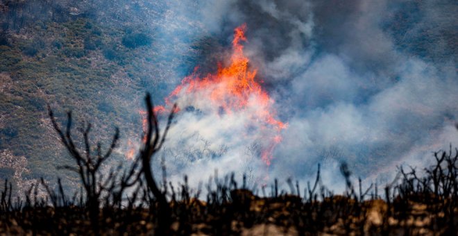 El fuego arrasa 60.518 hectáreas en una semana, cuatro veces más de la media de la década