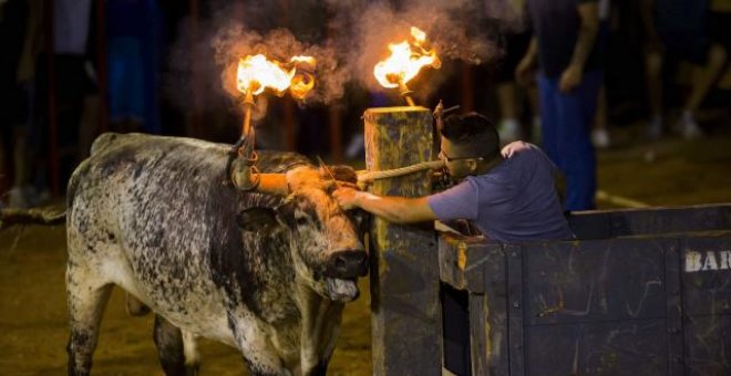 Los partidos llaman a mejorar la seguridad en los 'bous al carrer'